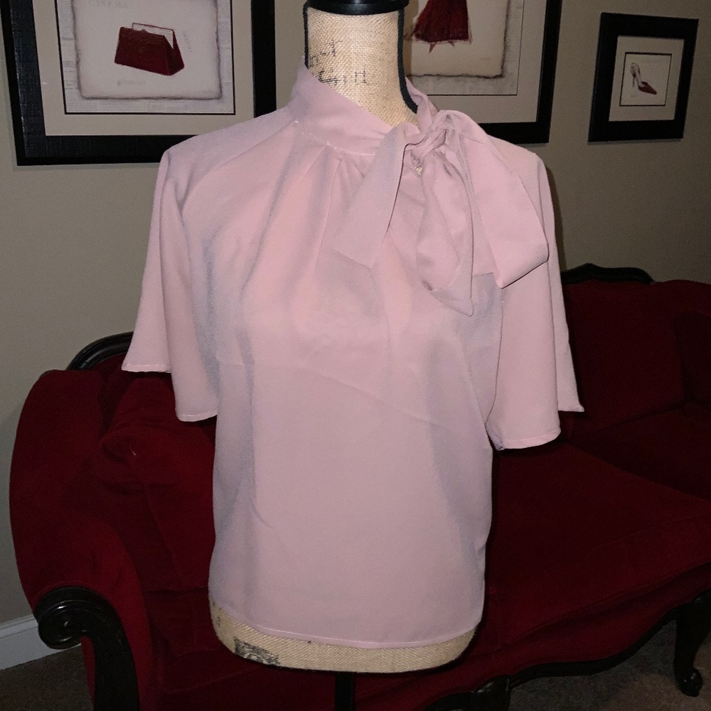 Chic & Sophisticated Pink Blouse
